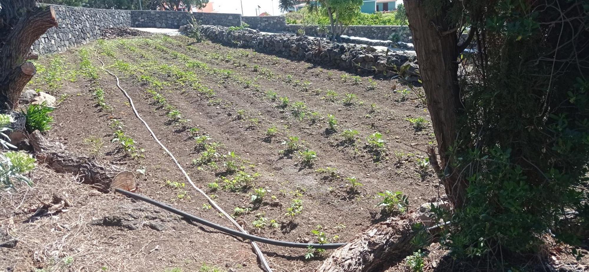 El Sueno Del Angel Villa Santa Cruz de la Palma  Kültér fotó
